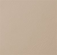 Fard tan 2305